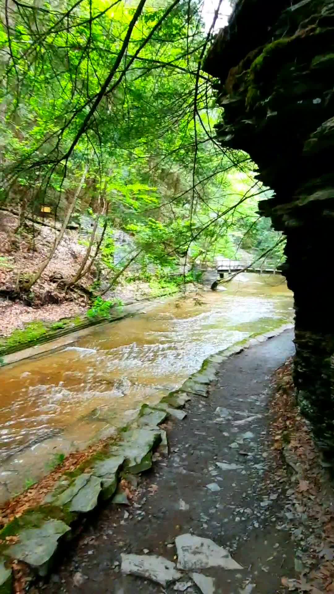 Buttermilk Falls State Park