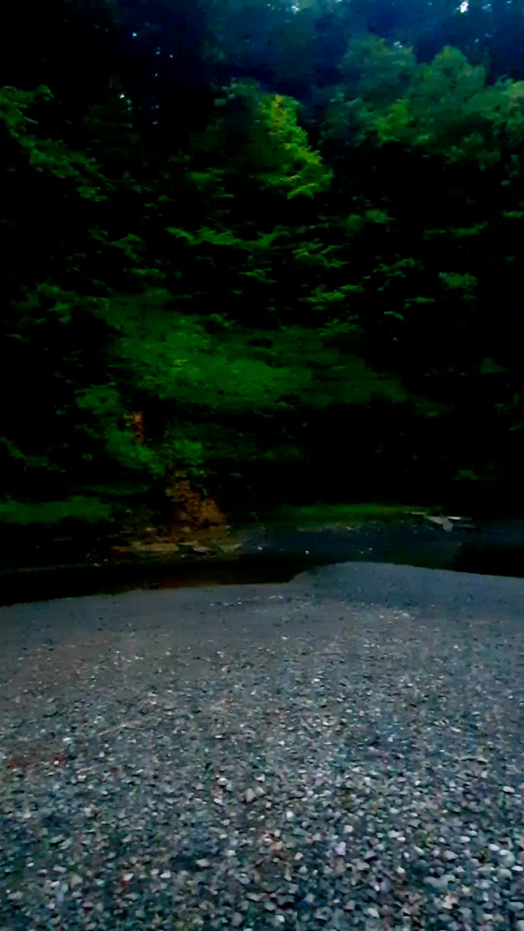 Robert H Treman State Park