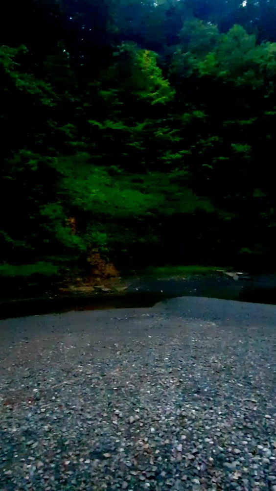 Robert H Treman State Park
