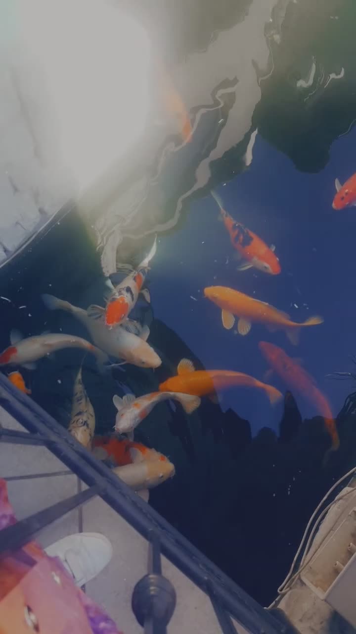 Paradise boutique hotel