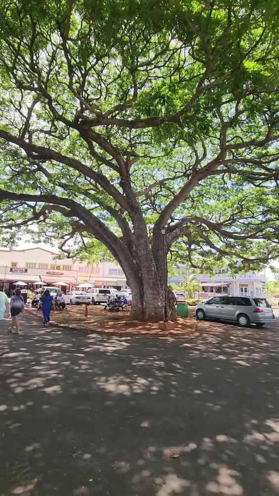 Haleiwa Town Center