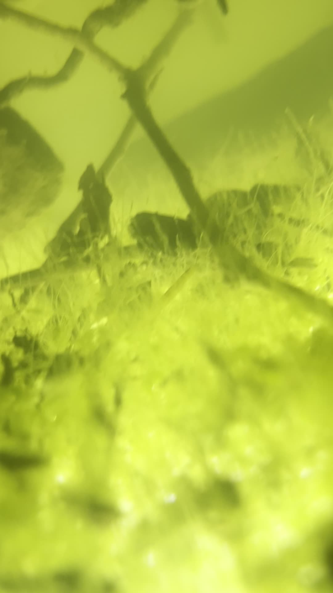 South Fairmount Splash Park