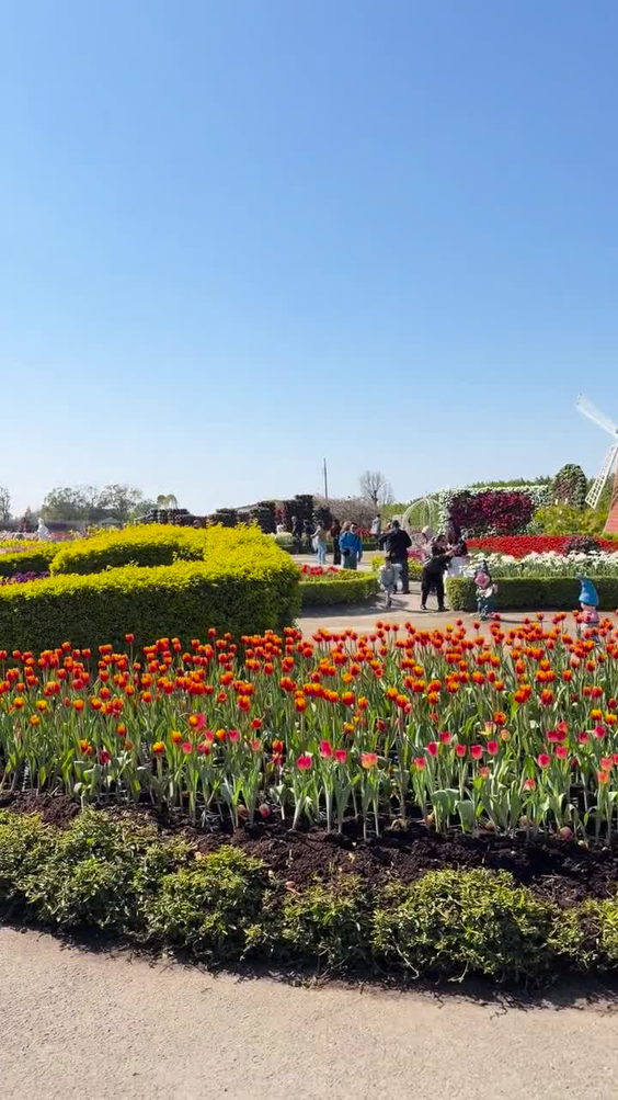 Zhongshe Flower Market
