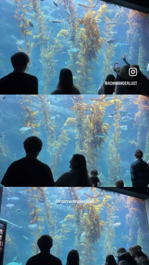 Birch Aquarium