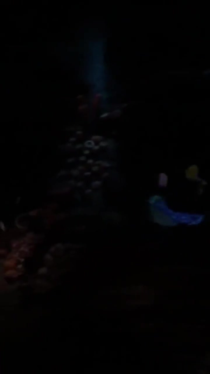 Tokyo Disneyland (東京ディズニーランド)