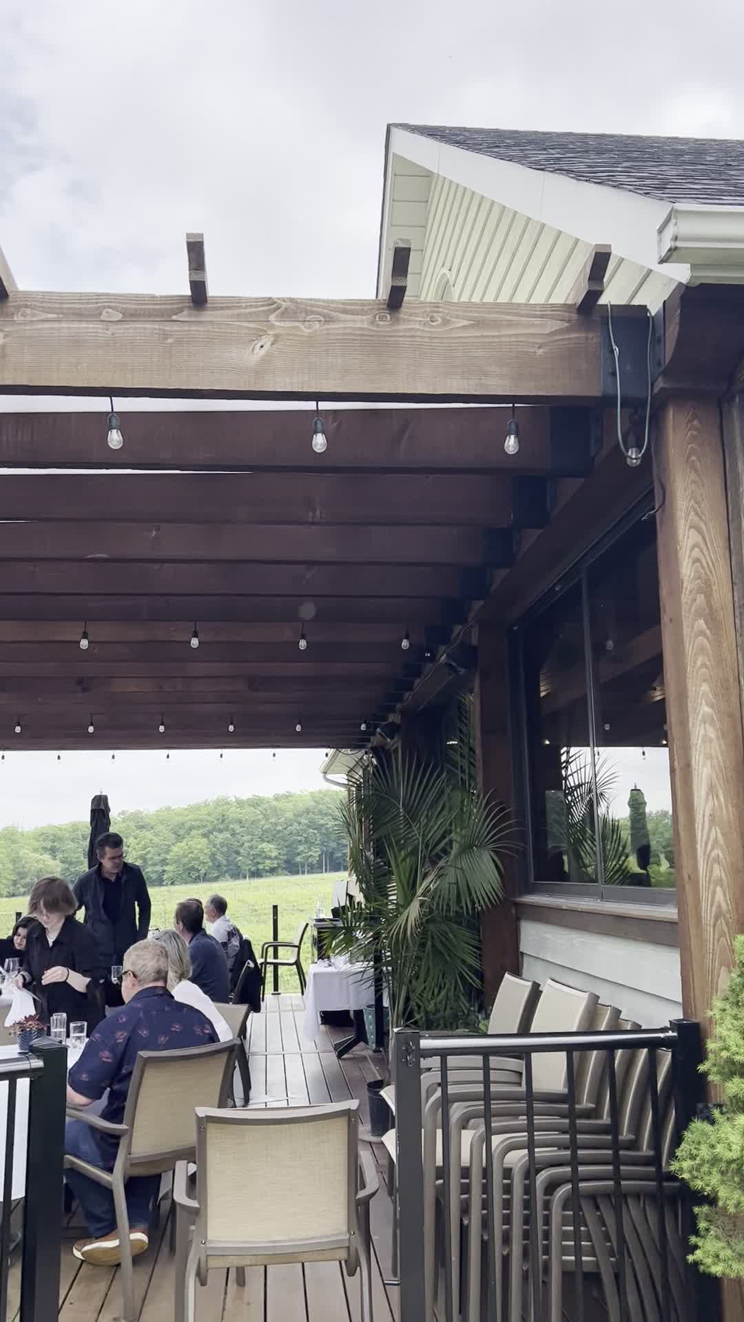 Video review of Vineland Estates Winery