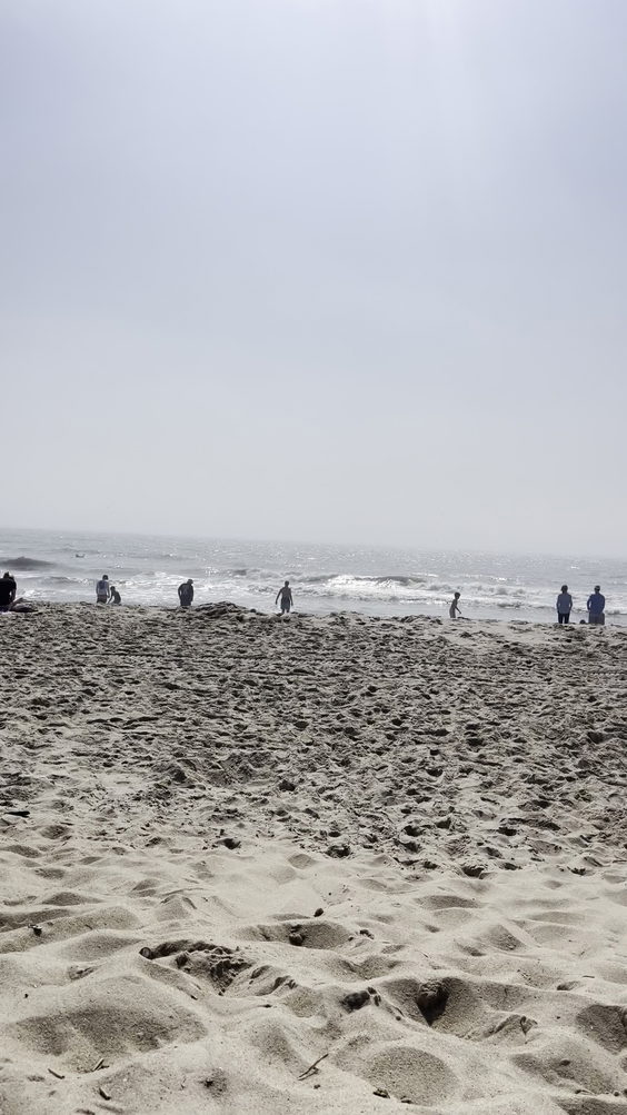 Assateaque Island 