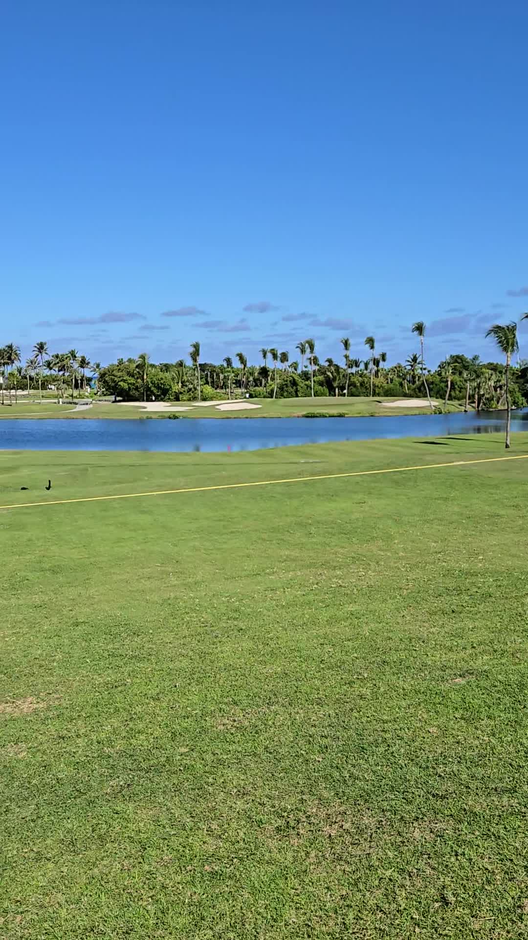 Ocean Club
