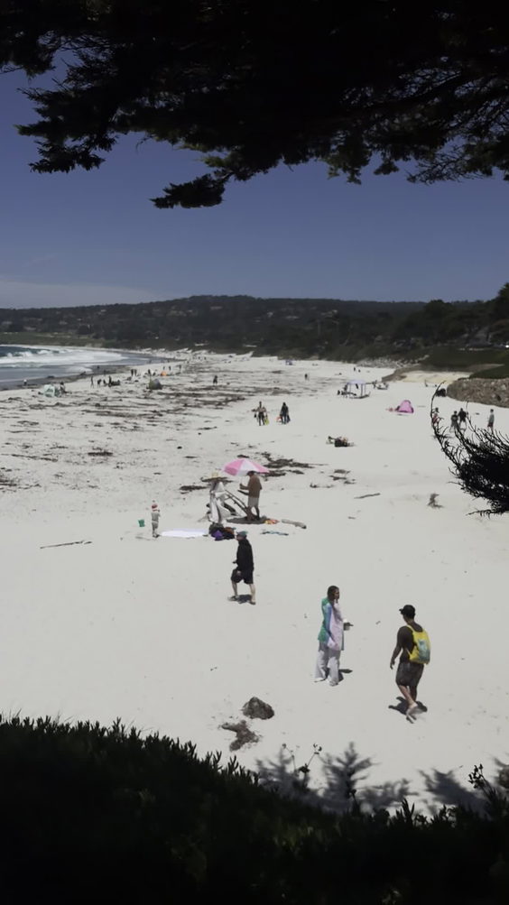 Carmel Beach