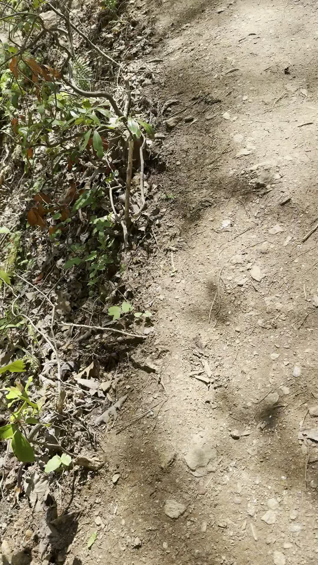 Paris Mountain State Park
