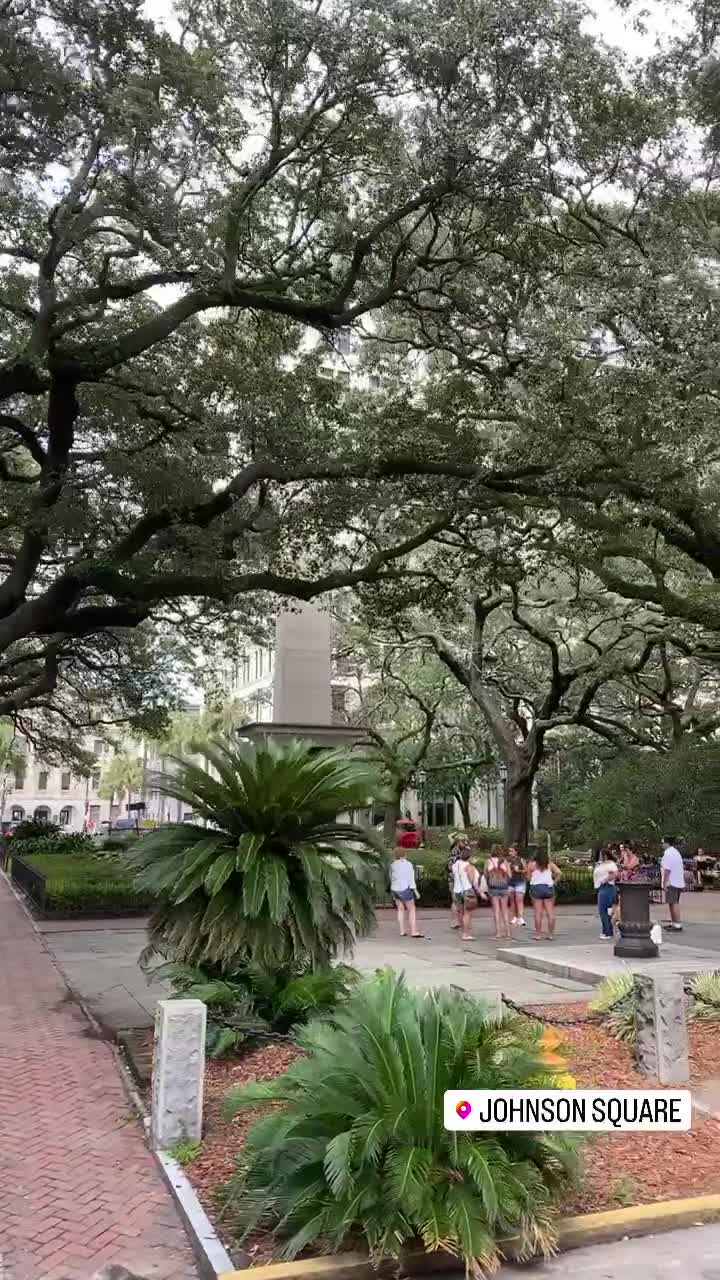 Expansive Johnson Square