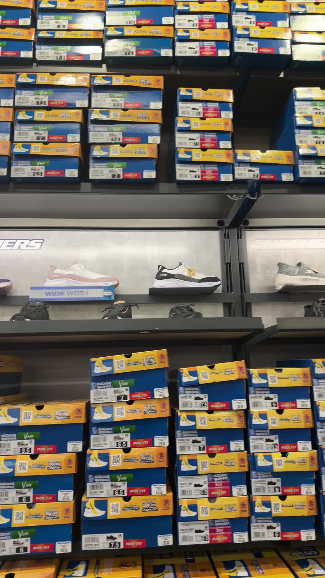 Sketchers 
