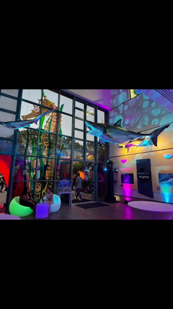 Birch Aquarium