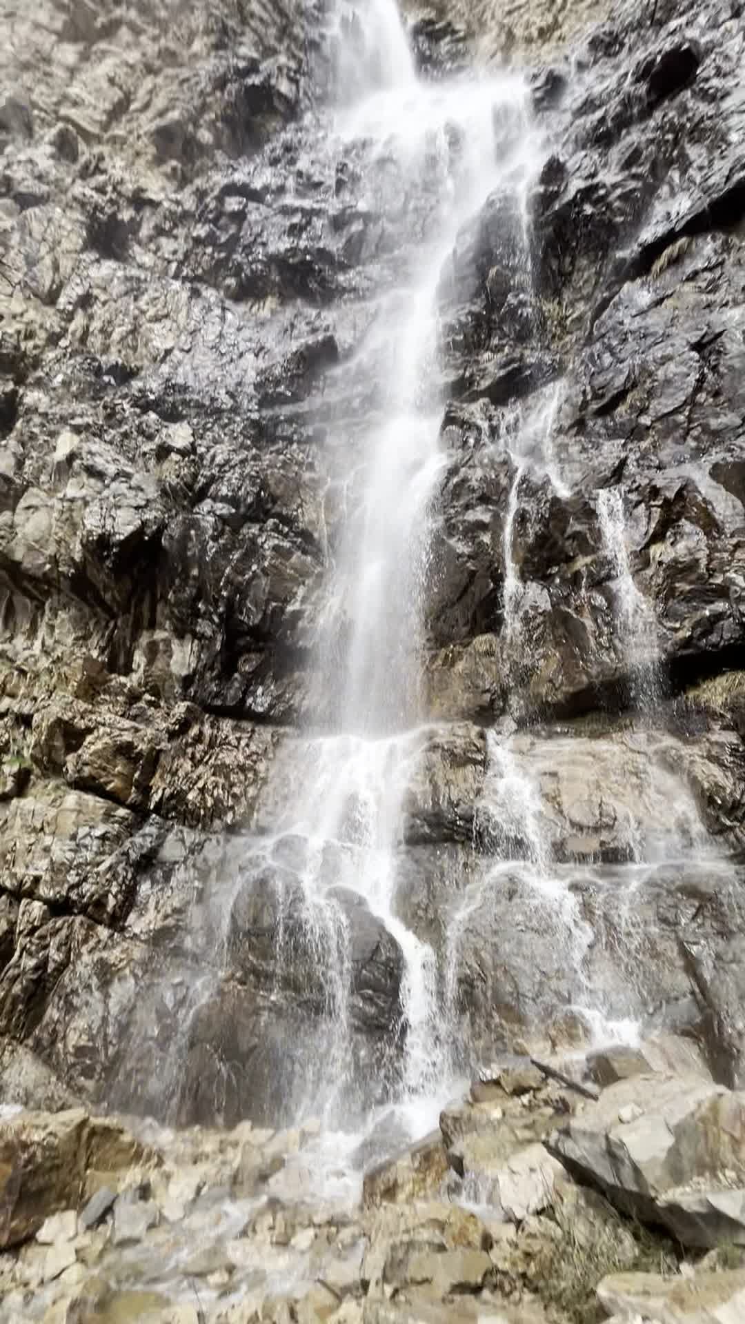 Ogden Hike