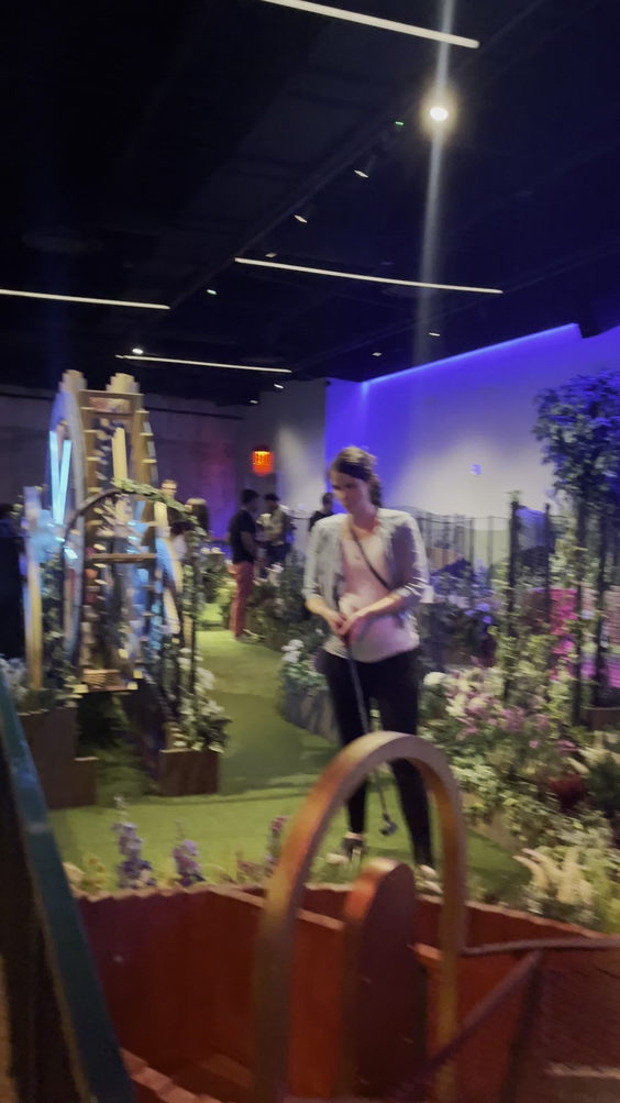 Swingers Crazy Golf