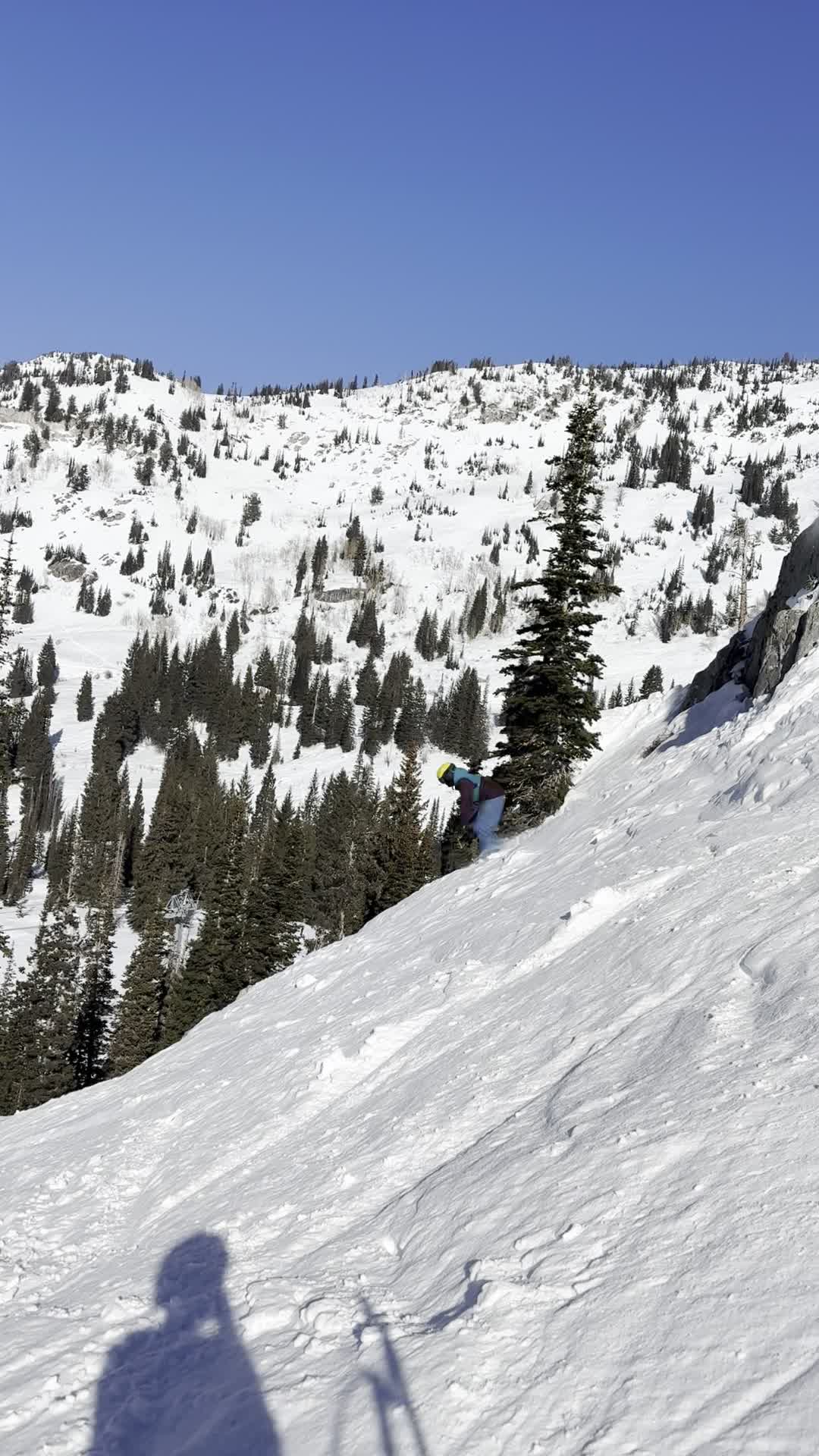 Alta Ski Area