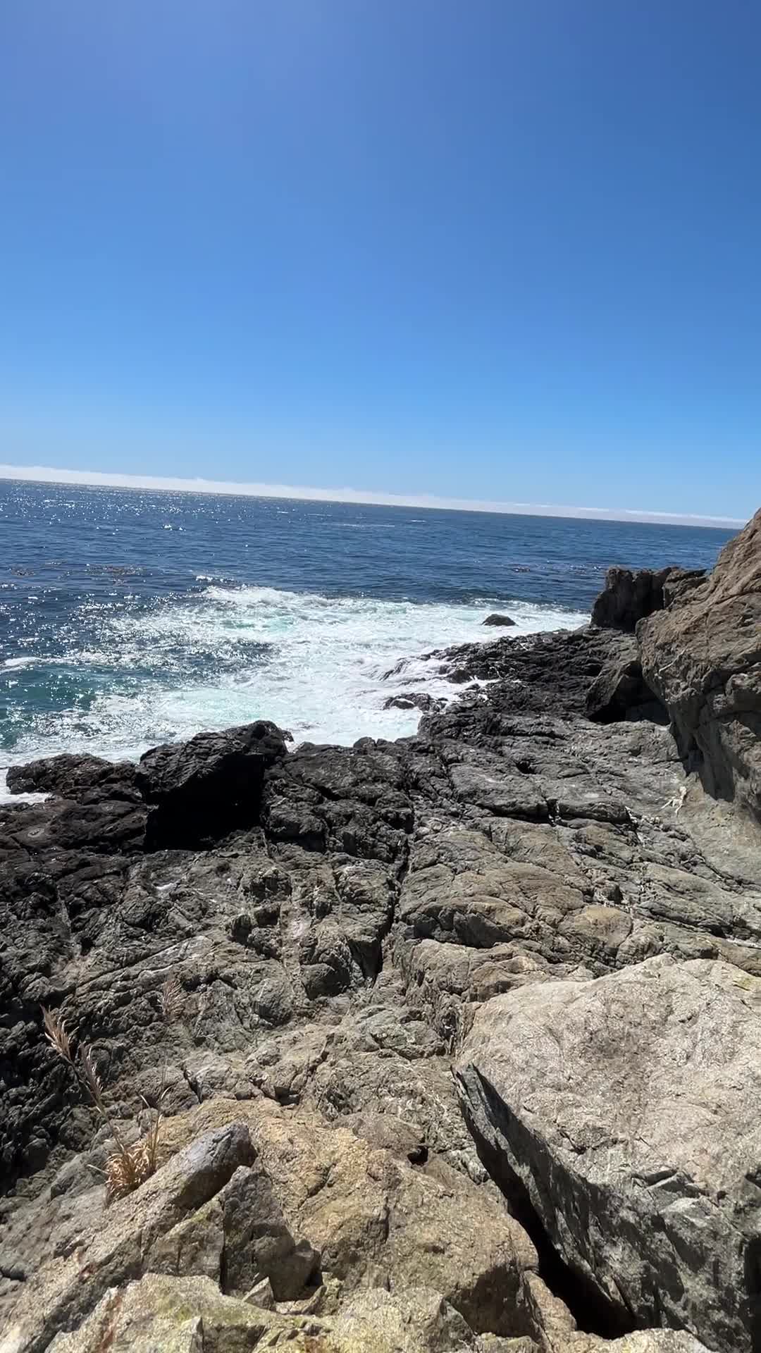 Big Sur Coffee Roasting Co.