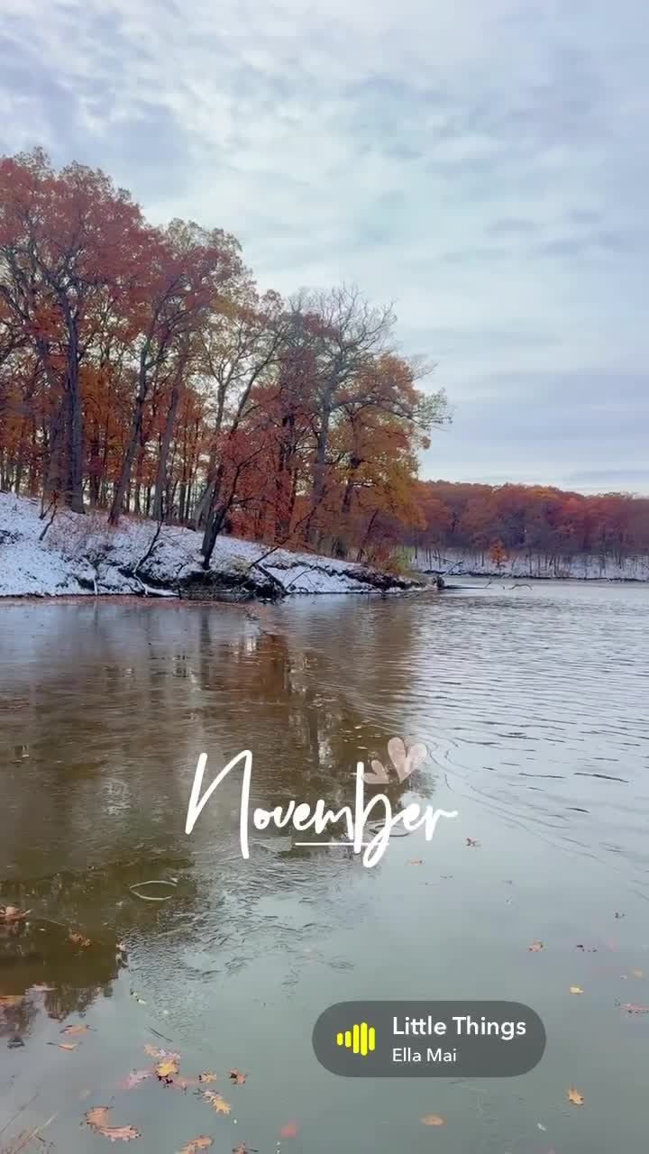 Thorn Creek Woods Nature Preserve