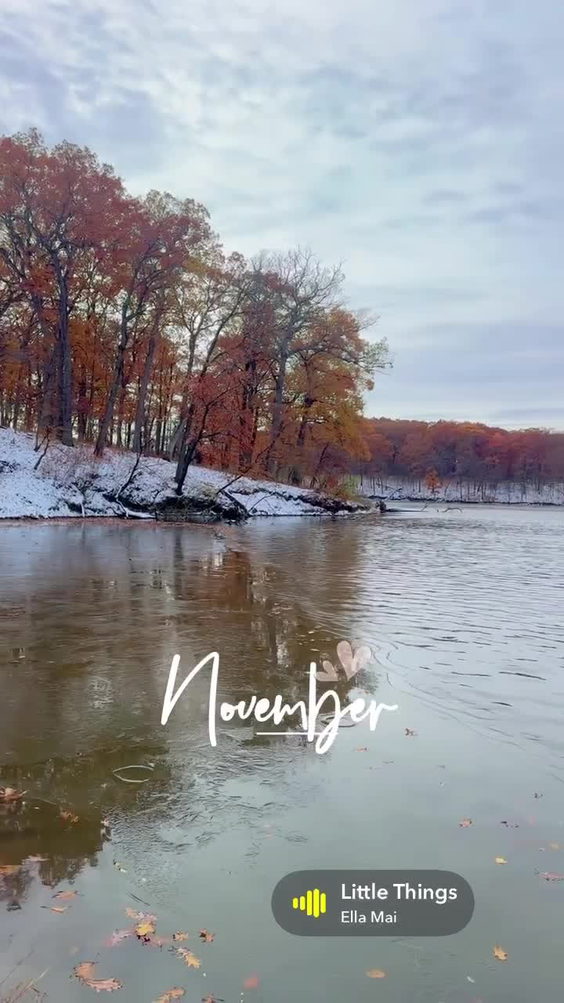 Thorn Creek Woods Nature Preserve