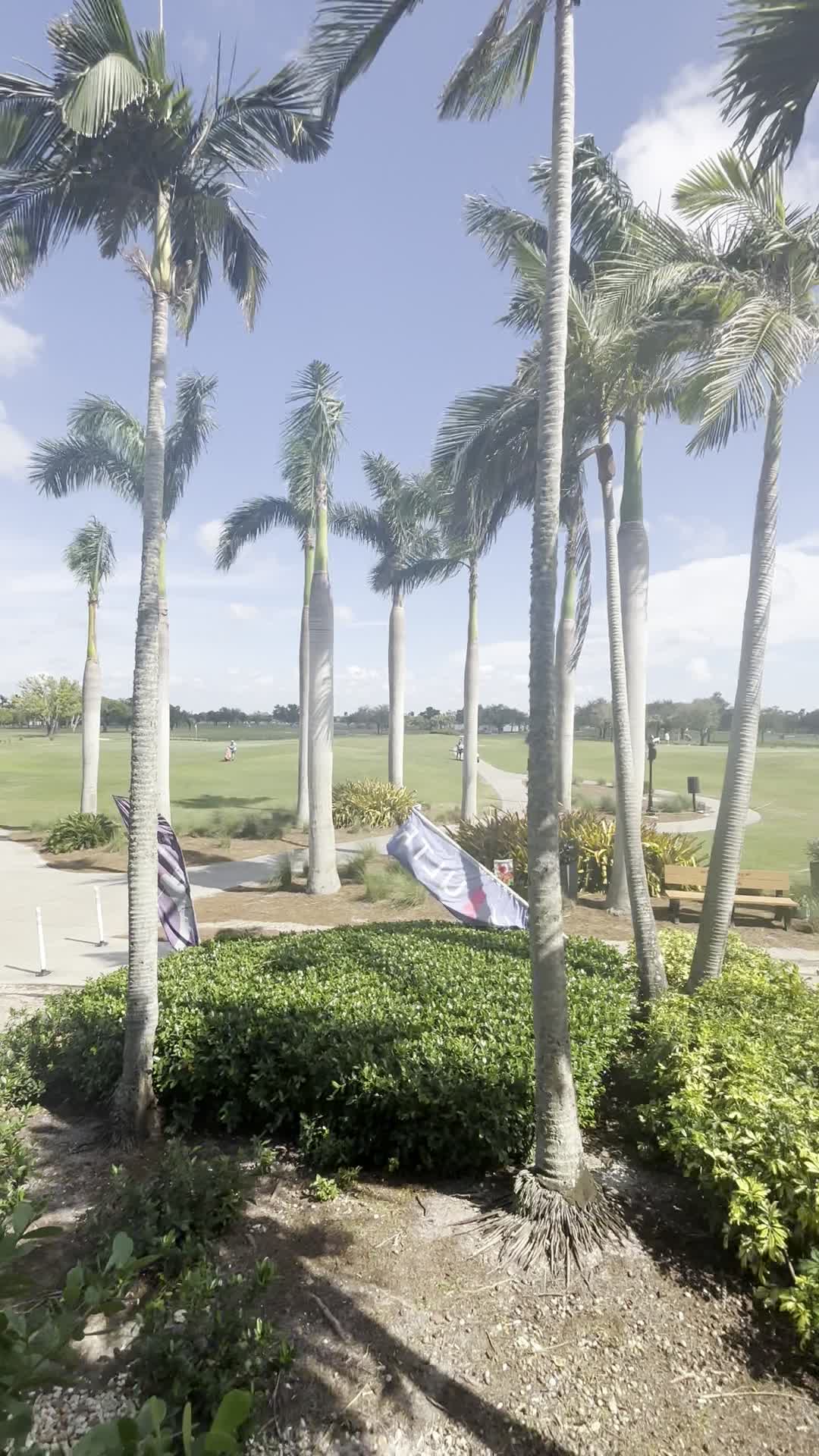 Video review of Edison Restaurant, Bar & Banquets