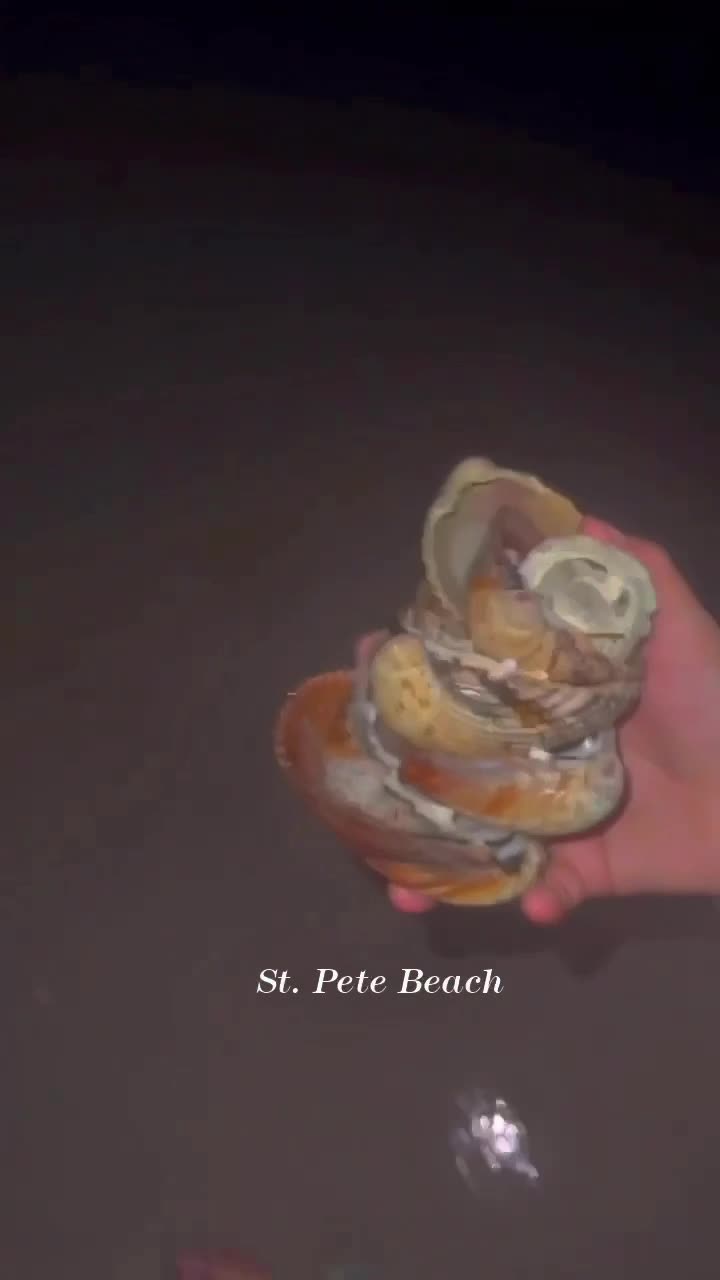St pete beach