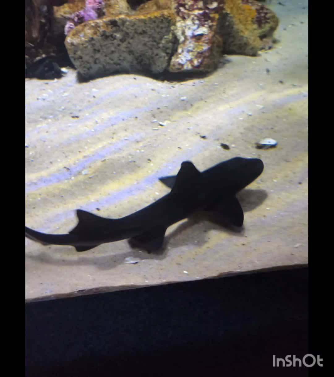 Two Oceans Aquarium