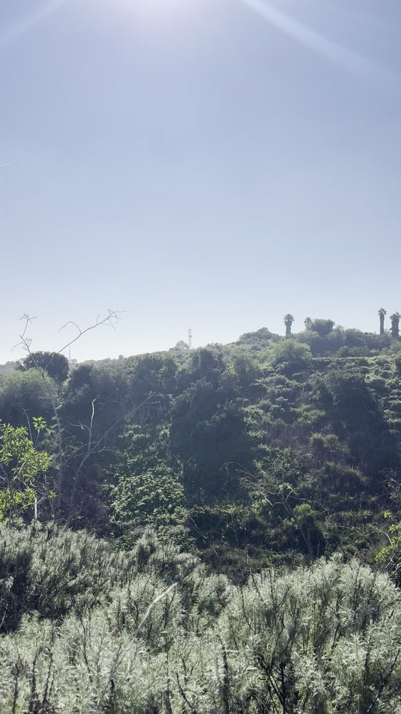 La Brea Trail
