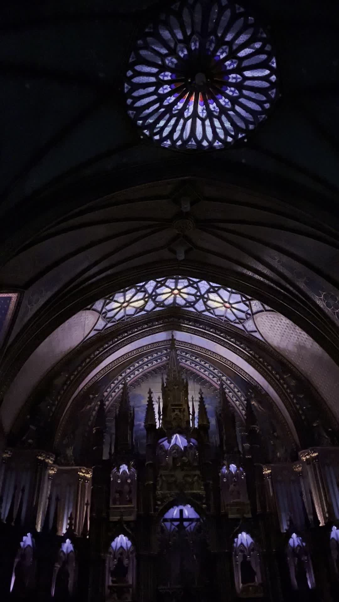 Video review of Notre-Dame Basilica of Montréal (Basilique Notre-Dame de Montréal)