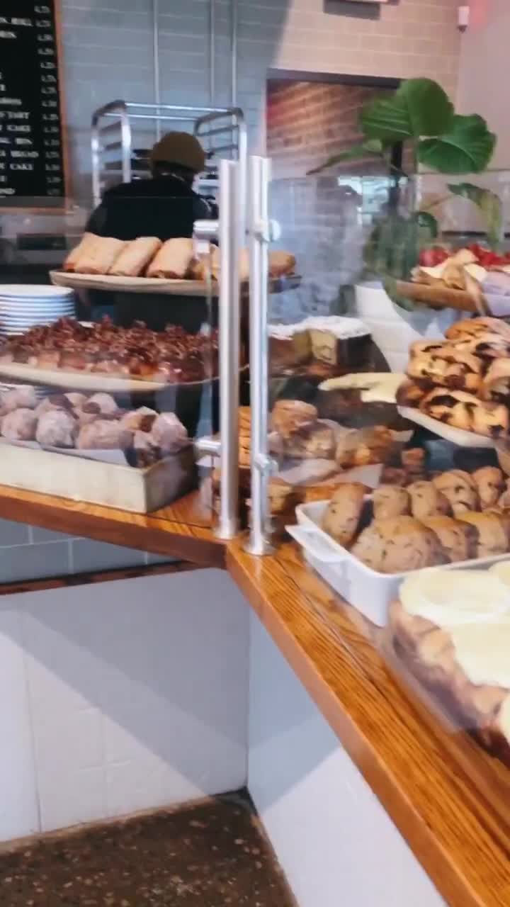 Video review of Fox in the Snow