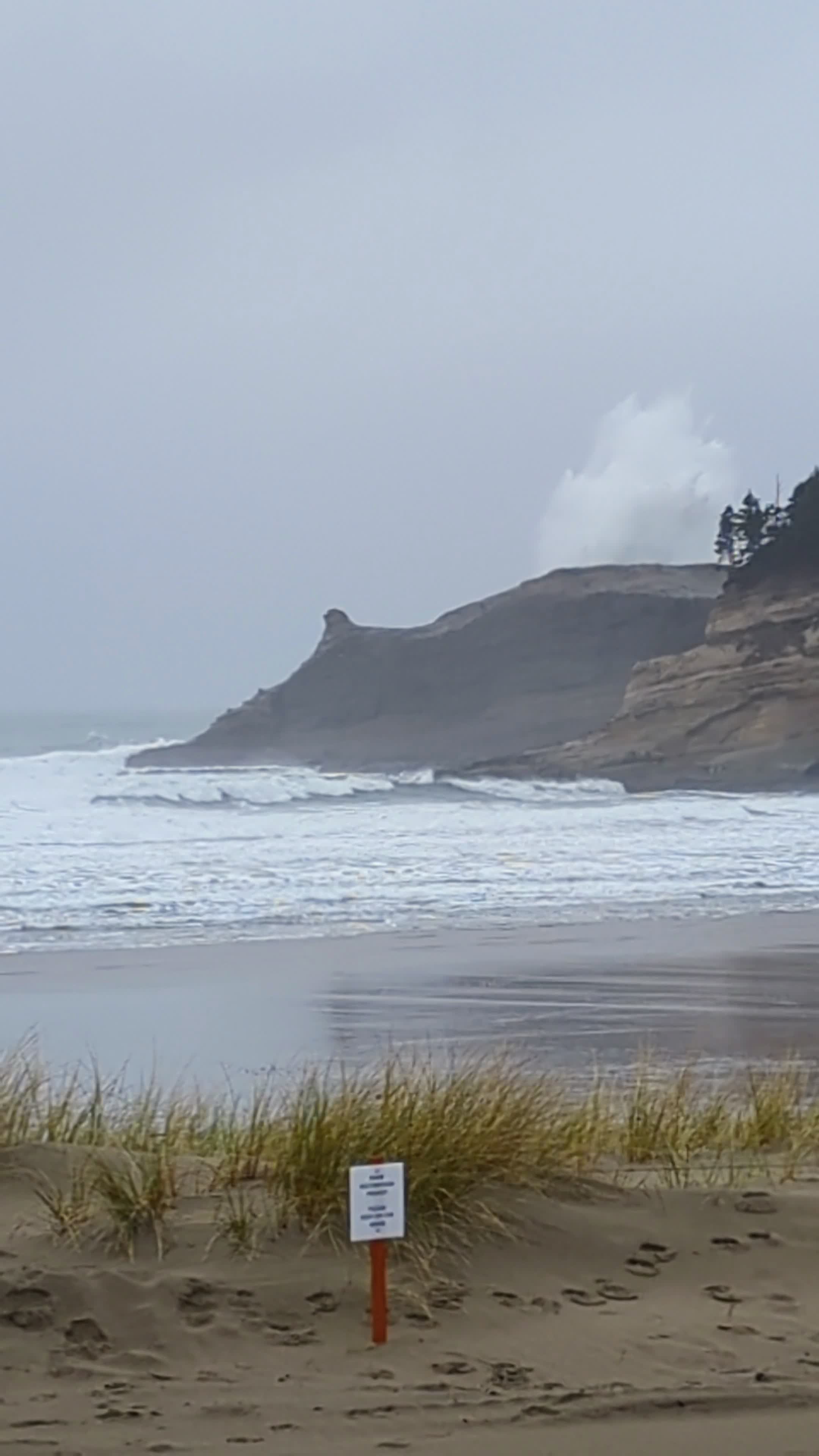 Pelican Brewing Company