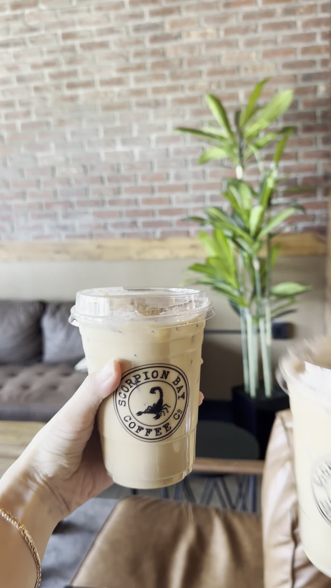 Scorpion Bay Coffee Co