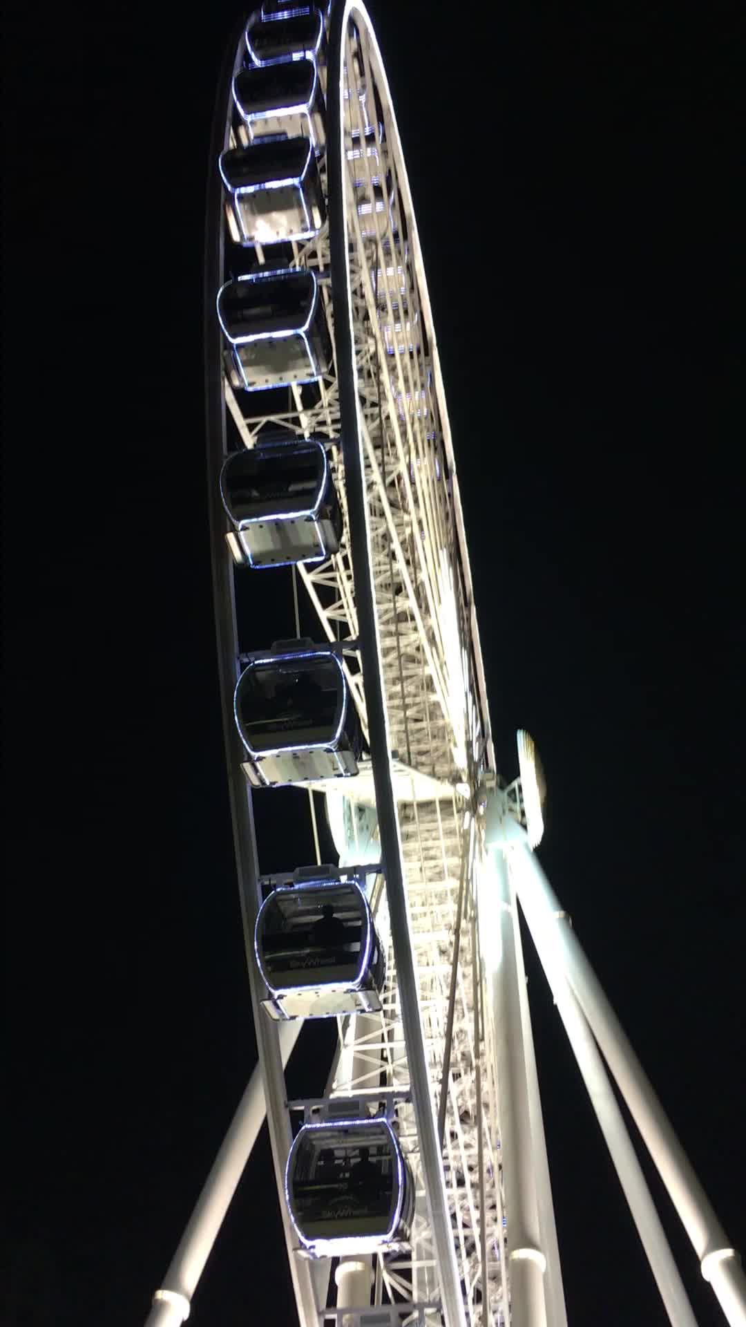 Video review of Niagara SkyWheel