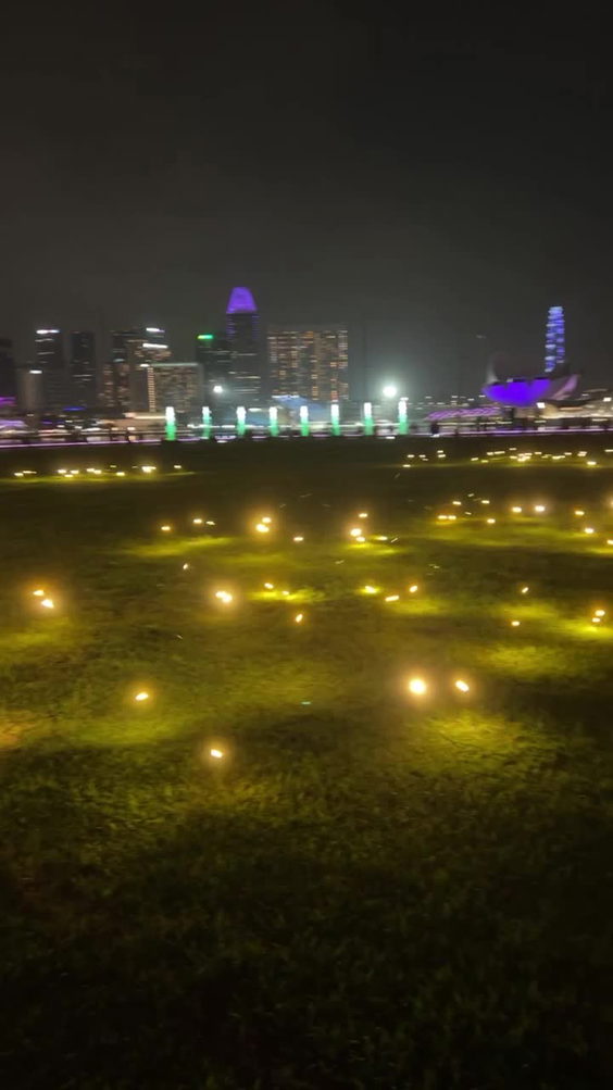 Marina Bay Sands (Dock)