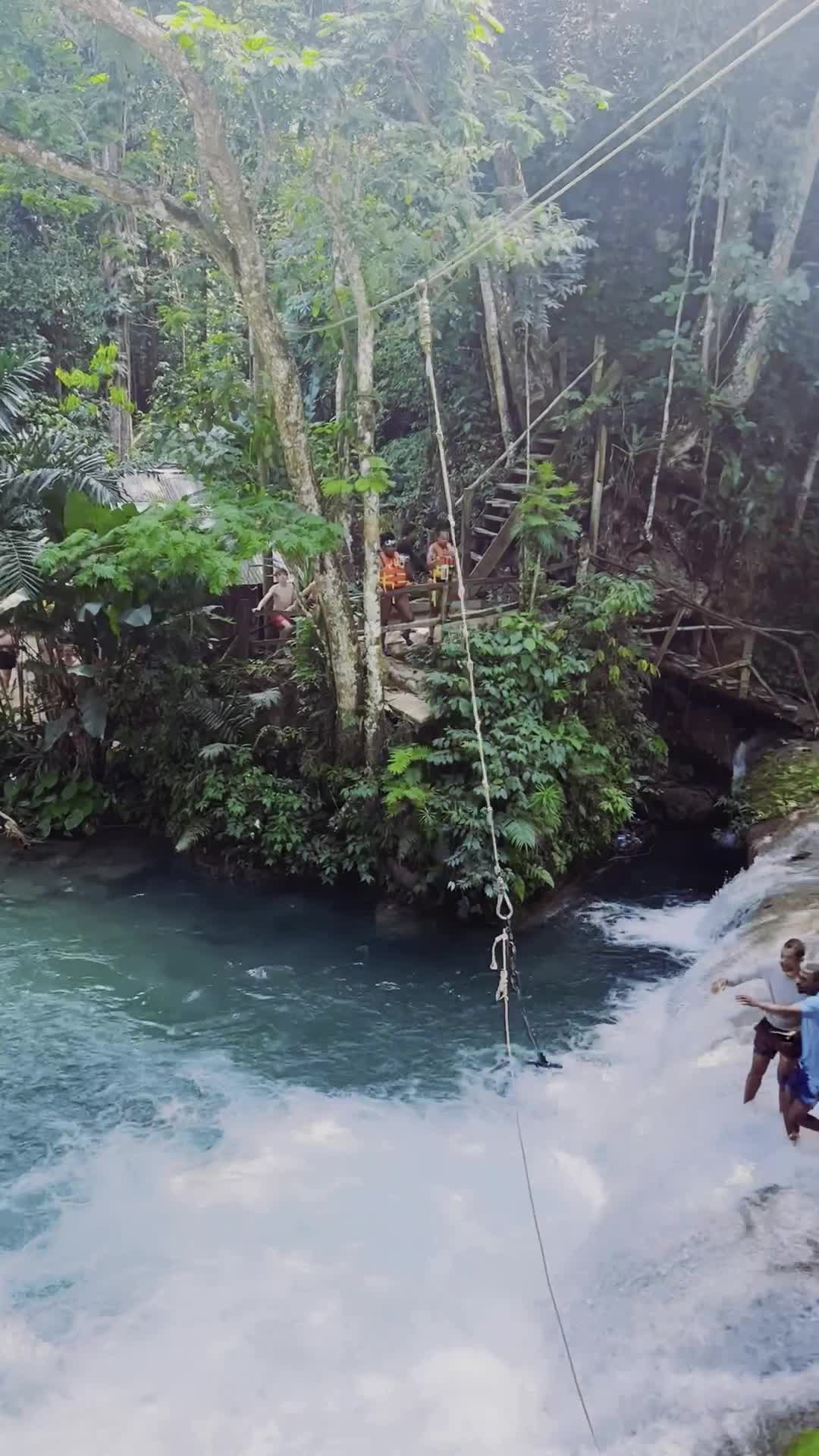 Blue Mountain Tours Jamaica