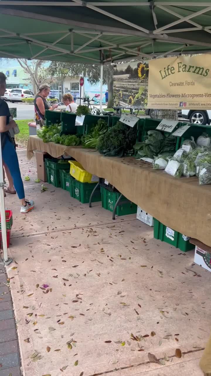 Dunedin Downtown Market