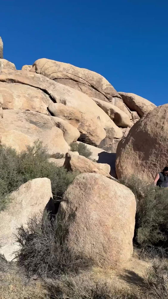Joshua Tree National Park North Entrance Station