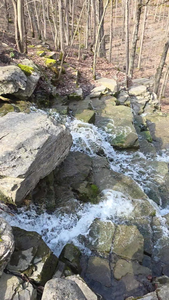 Three Falls Woods