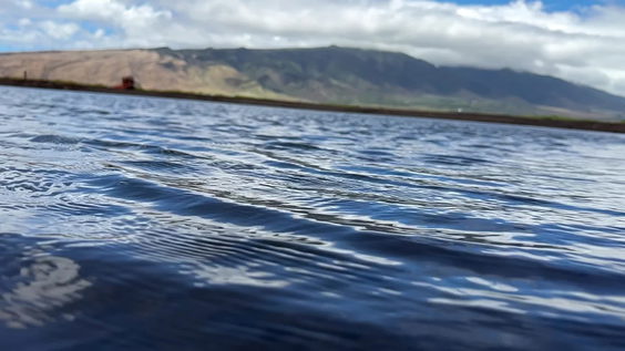 Kealia Pond