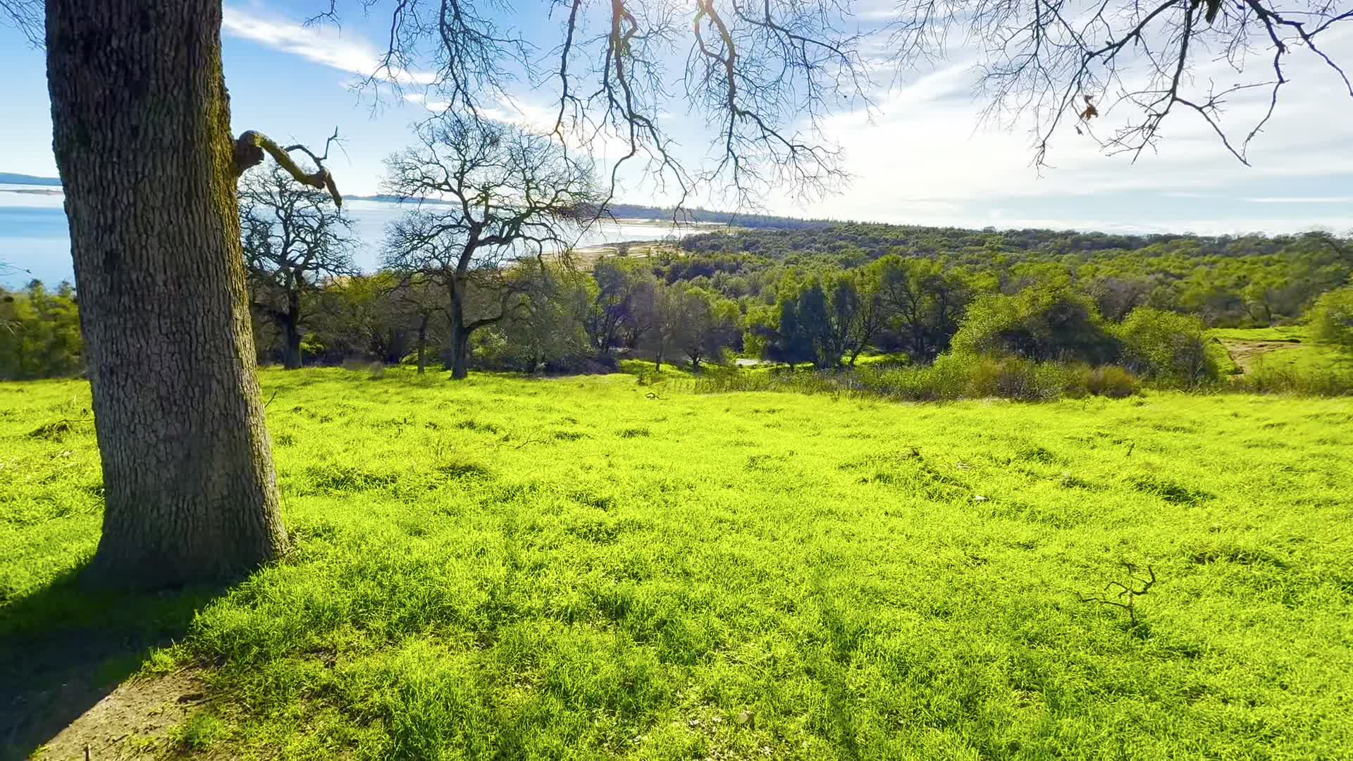 Folsom Lake State Recreation Area
