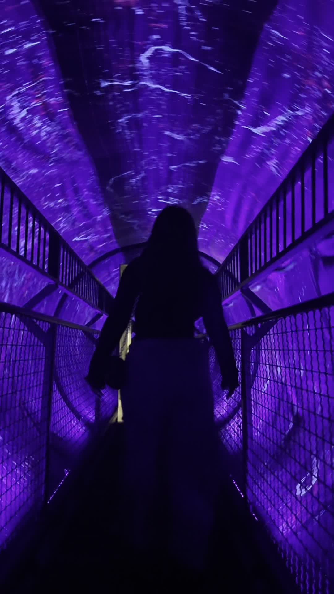 The Museum of Illusions