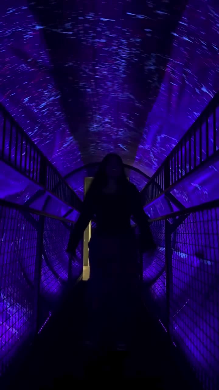 The Museum of Illusions