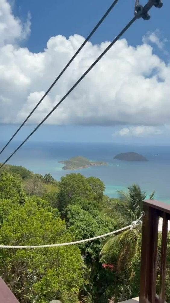 Tree Limin' Extreme Zipline Tour