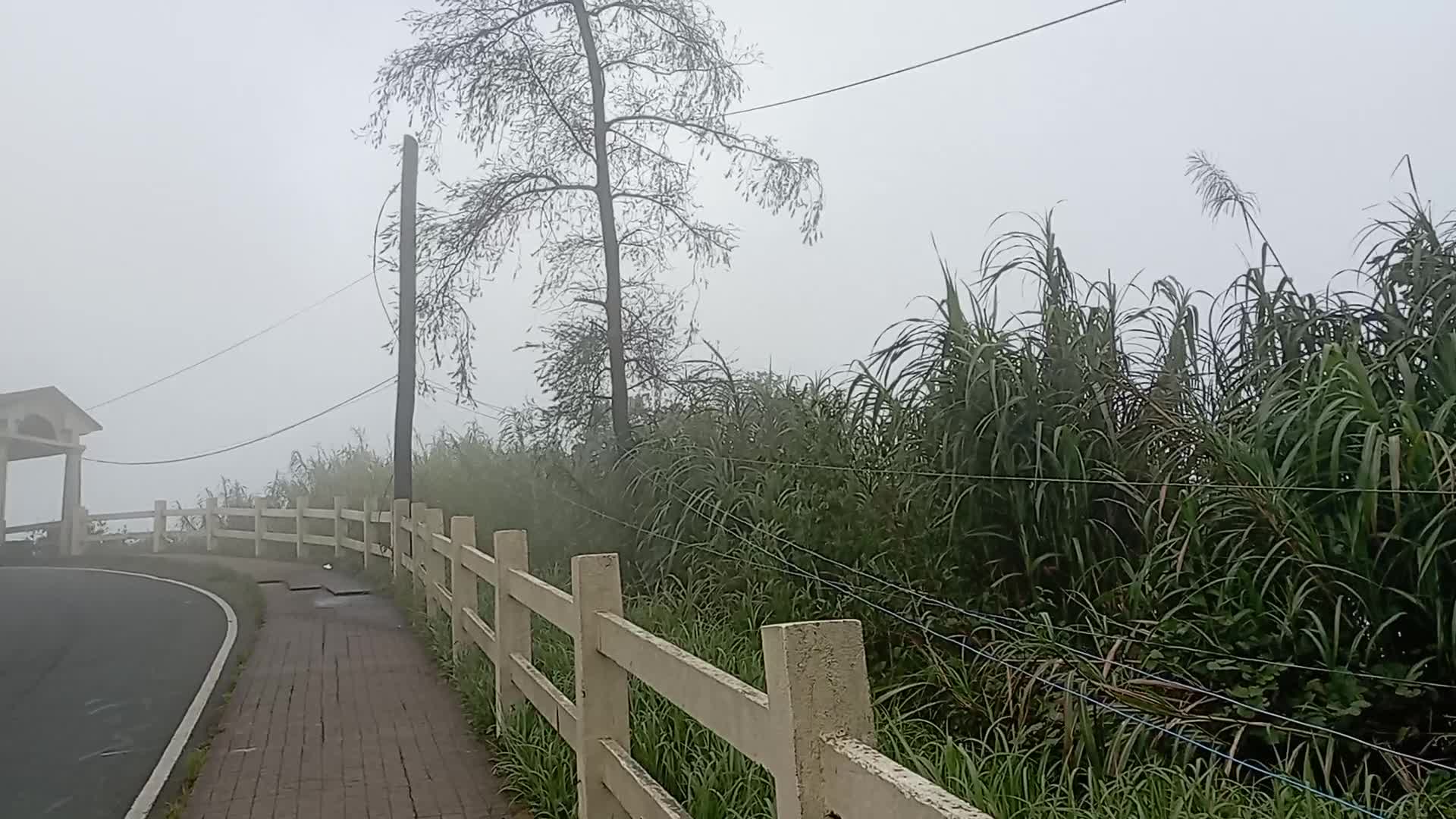 People's Park in the Sky