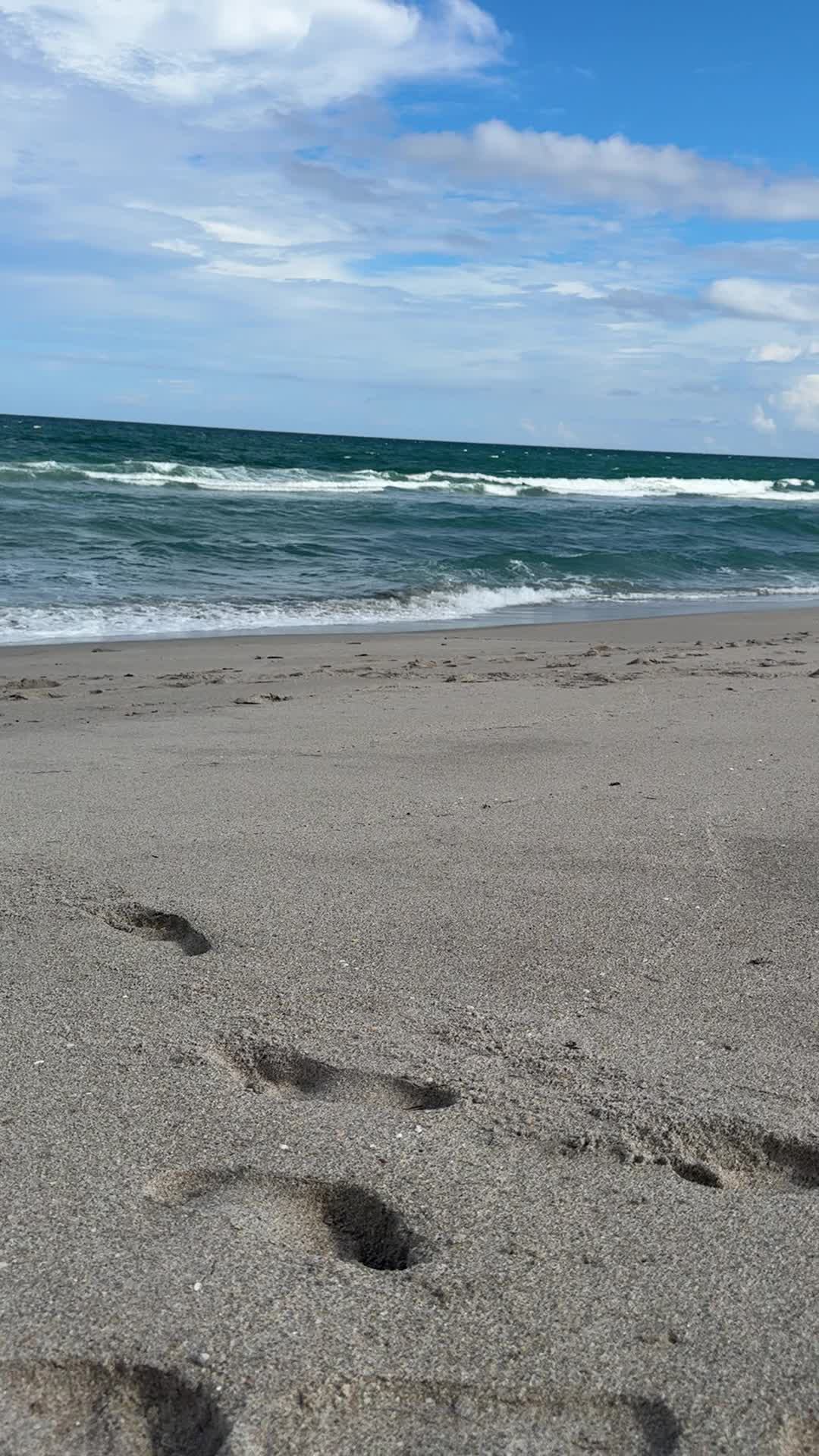 Visit Palm Beach