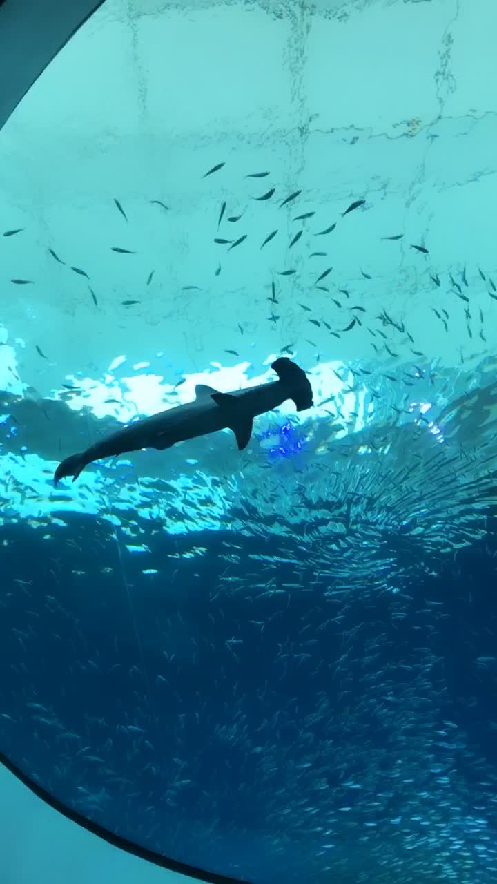 Phillip & Patricia Frost Museum of Science