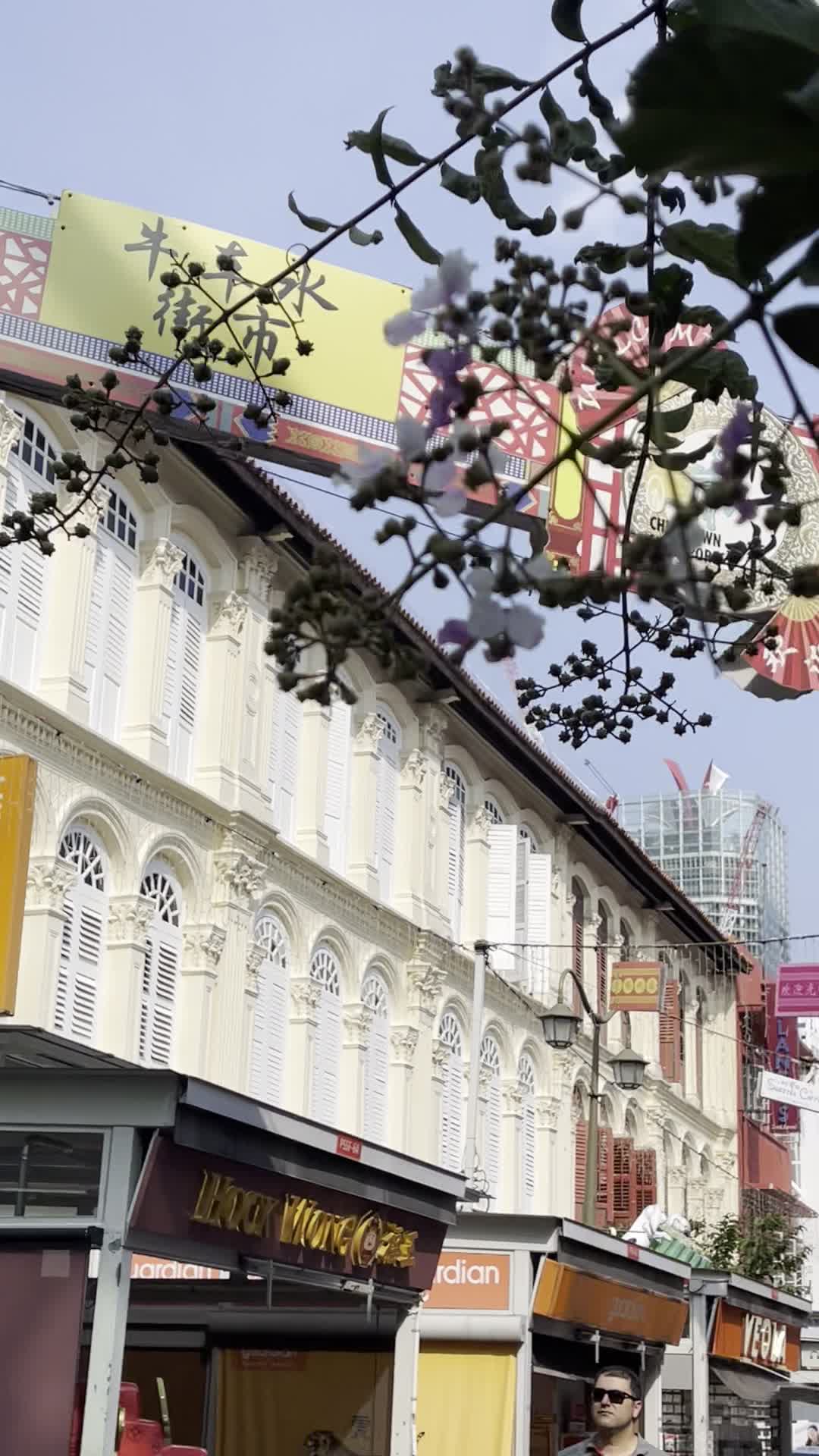 Video review of Chinatown Street Market
