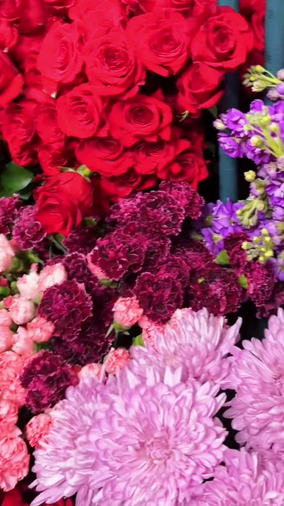 Bloomies