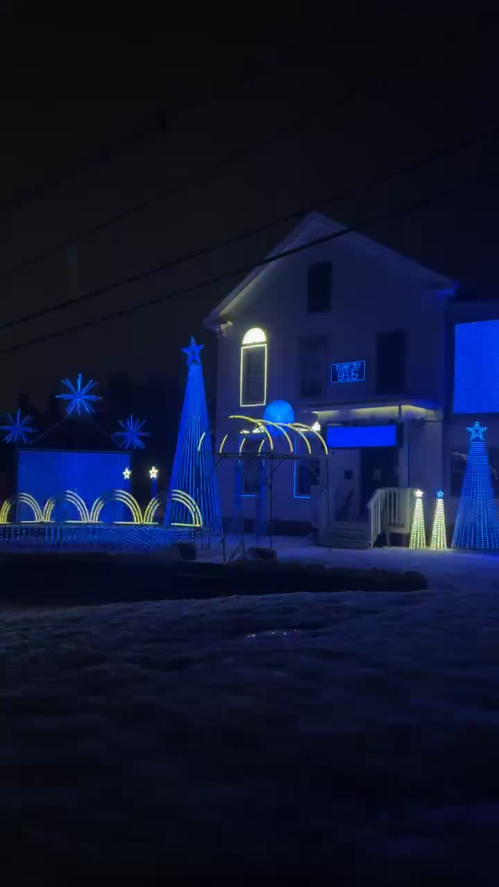 Christmas Tree Shops