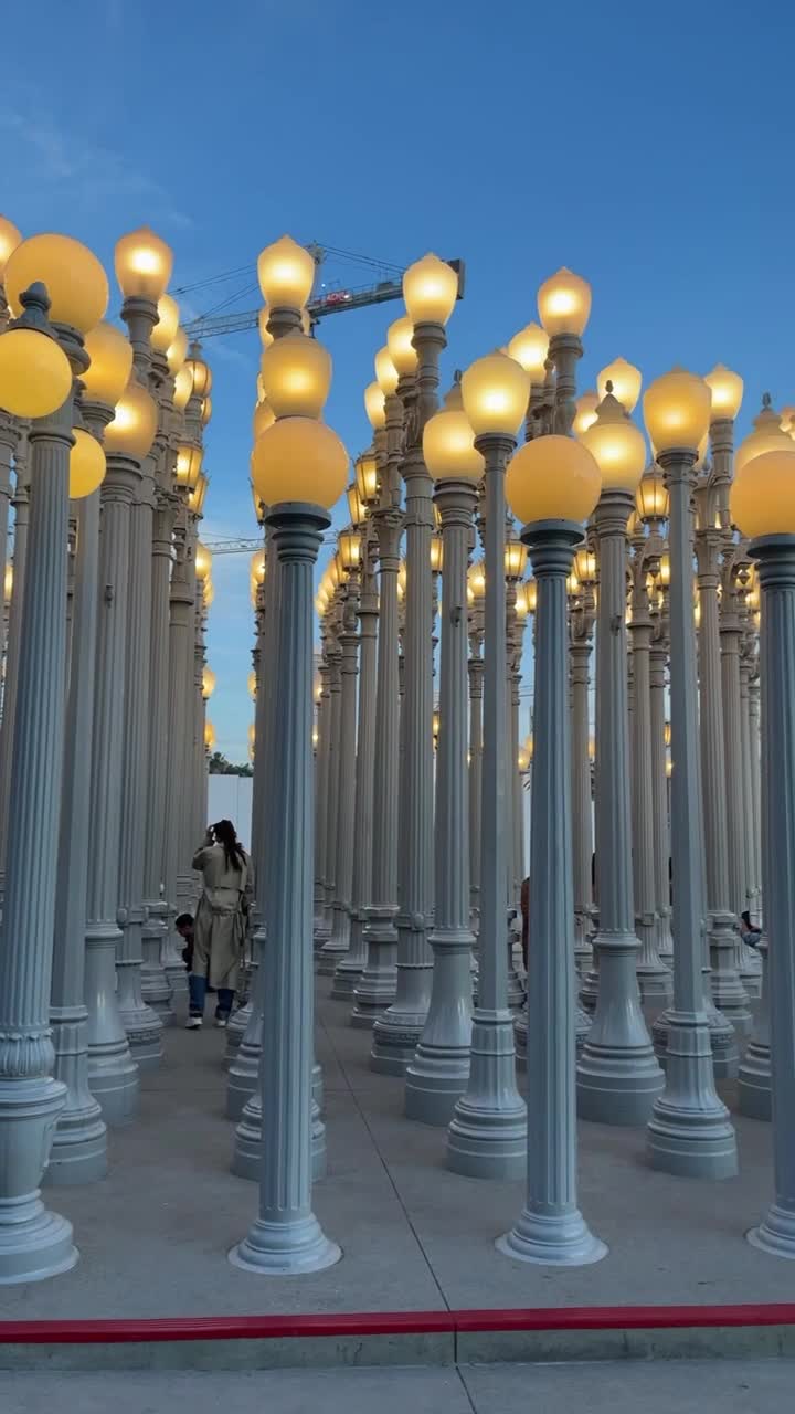 Video review of Los Angeles County Museum of Art