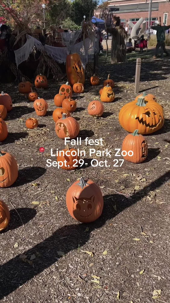 Lincoln Park Zoo